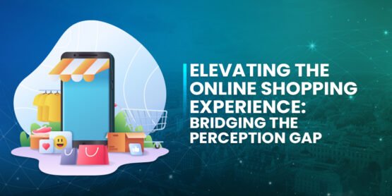 Elevating the Online Shopping Experience: Bridging the Perception Gap