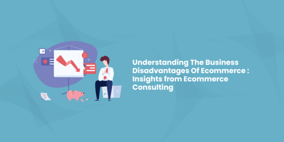 Business Disadvantages Ecommerce