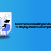 Ecommerce consulting services