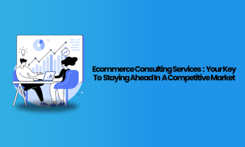 Ecommerce consulting services