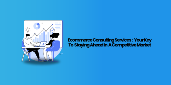 Ecommerce Consulting Services